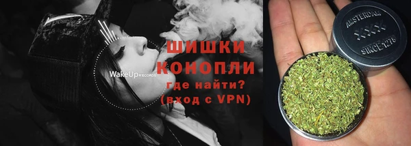 МДПВ Бородино