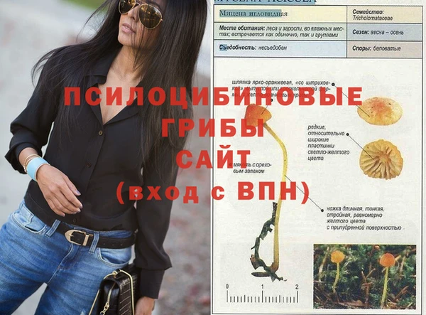 a pvp Богородицк