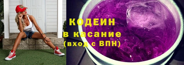 МДПВ Бородино