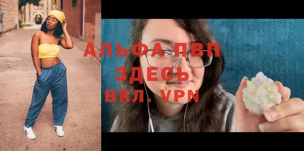 МДПВ Бородино