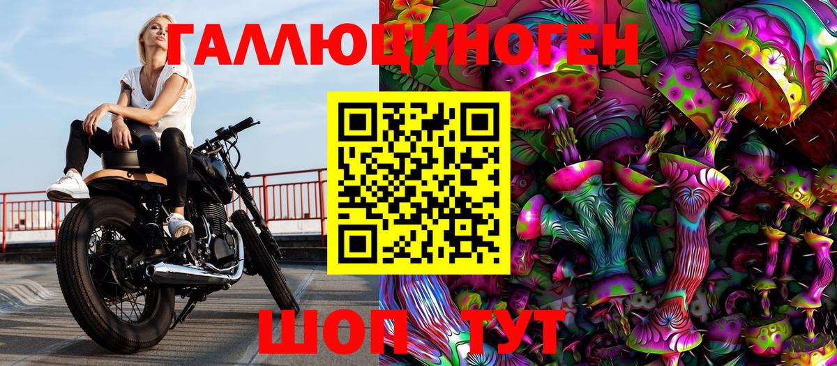 Псилоцибиновые грибы мухоморы  Псилоцибиновые грибы GOLDEN TEACHER  Вязники  Вход с VPN 