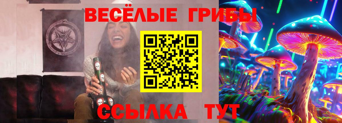 Псилоцибиновые грибы Psilocybe Вязники